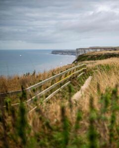 Bempton Cliffs RSPB Reserve 